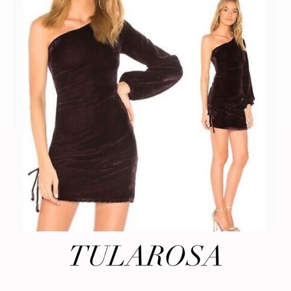 New TULAROSA Paula One Shoulder Velvet Purple Dress S NWT - Picture 1 of 12